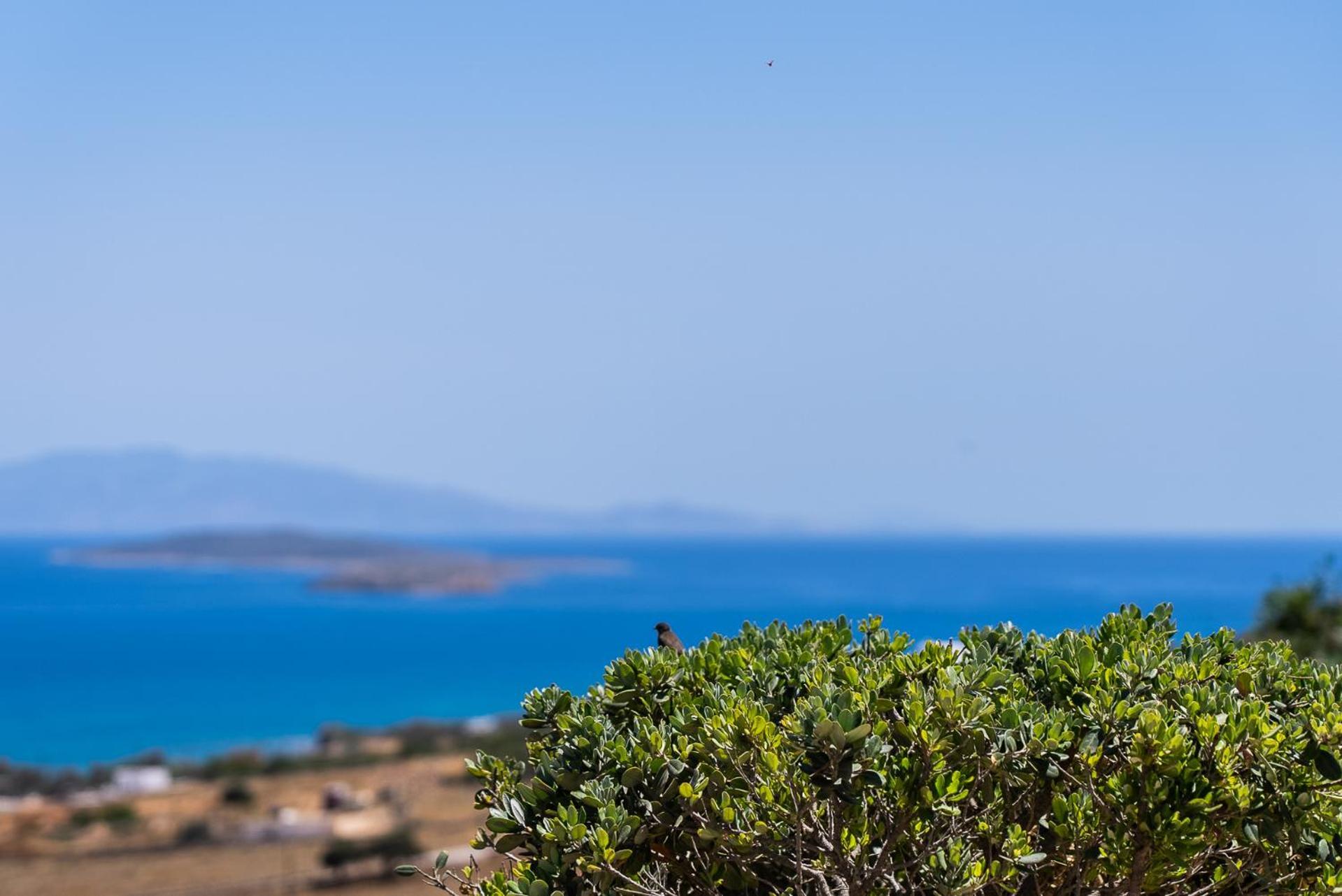 Lagadia Village Antiparos Exteriör bild